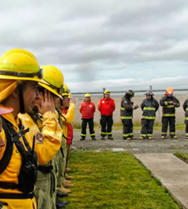 Formación y preparación de Brigadas para el Control de Emergencias